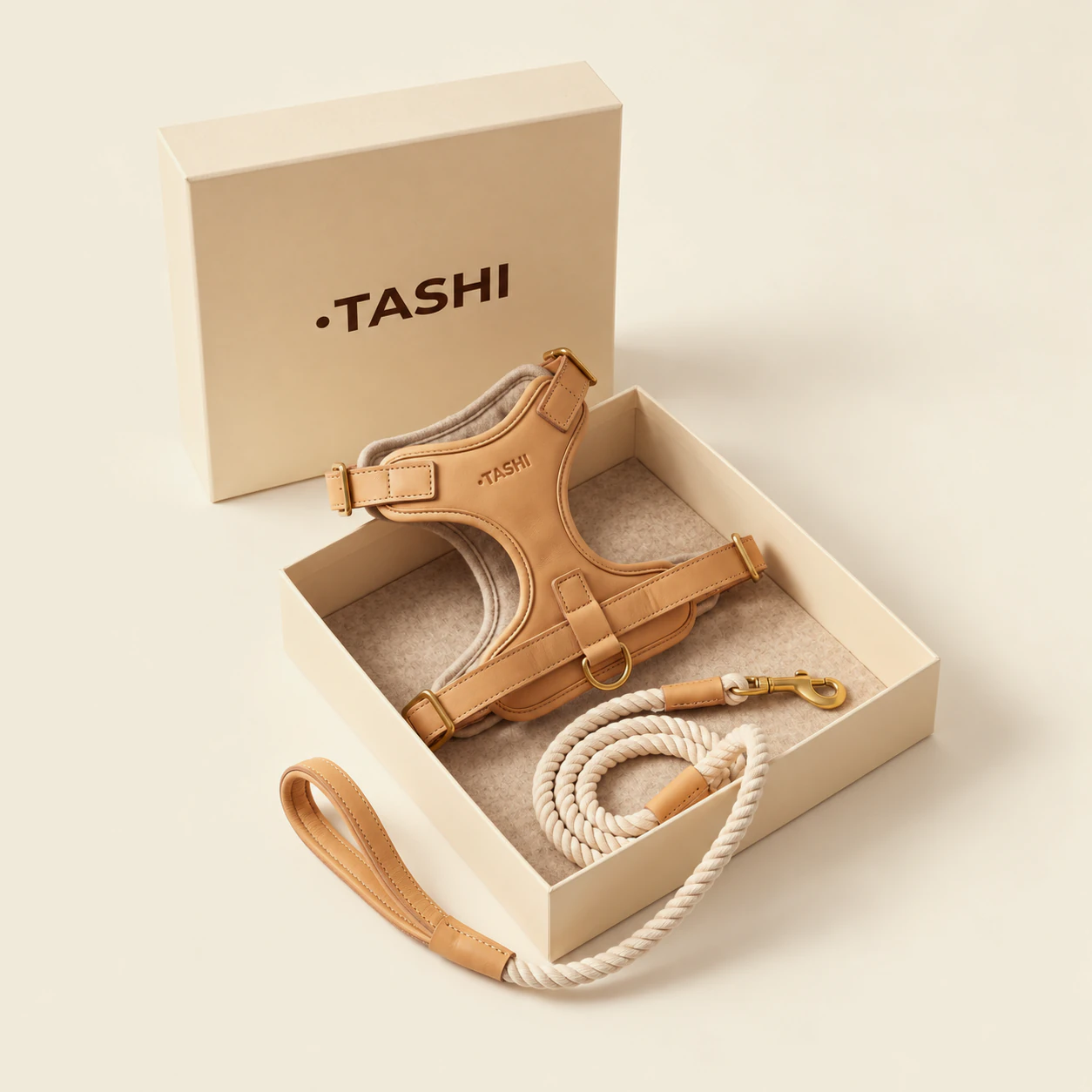The Walk set: a honey leather harness and a cream cotton rope lead with a leather handle, in an open cream box with the Tashi logo inside the lid